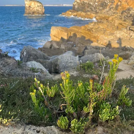 Peniche Hostel بيت شباب *