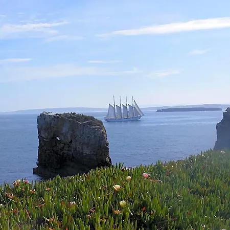 Peniche Hostel 호스텔